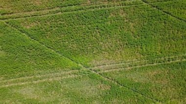 Alanların sulama sistemi. Hava