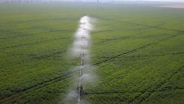 Système d'irrigation des champs. Aérien — Video