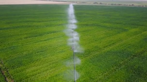 Bewässerungssystem der Felder. Antenne — Stockvideo