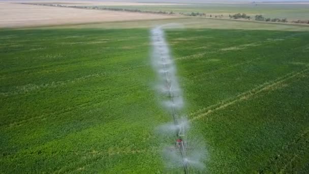 Irrigatiesysteem van velden. Luchtfoto — Stockvideo