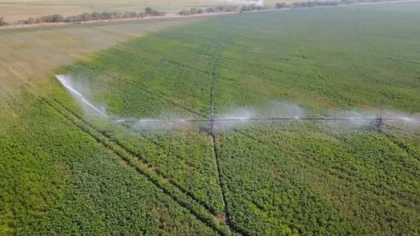 Système d'irrigation des champs. Aérien — Video