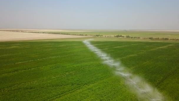 Sistema de irrigação de campos. Aviação — Vídeo de Stock