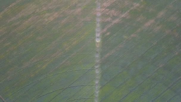 Irrigation system of fields. Aerial — Stock Video