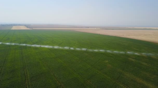 フィールドの灌漑システム。空中 — ストック動画
