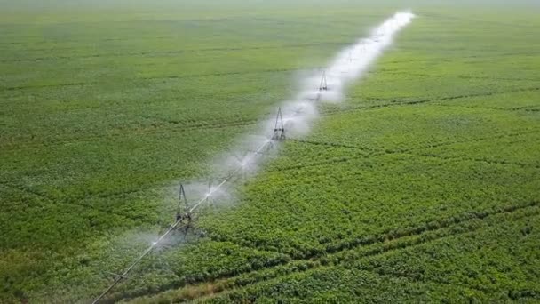 フィールドの灌漑システム。空中 — ストック動画