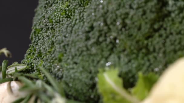 Zblízka zelí brokolice — Stock video
