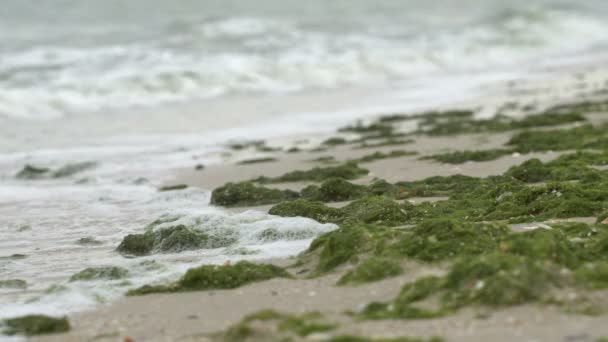 Ondas de espuma no litoral — Vídeo de Stock