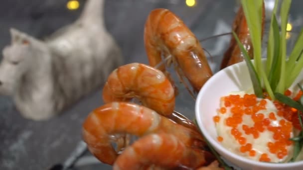 Dish of shrimp and red caviar. Slow motion — Stock Video