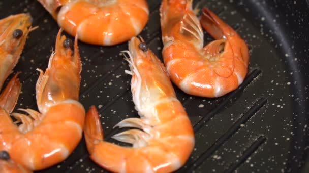 Préparer les crevettes marines dans une casserole. Mouvement lent — Video