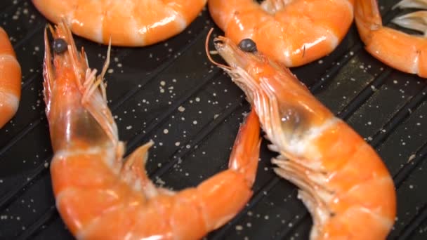 Siapkan Udang Laut Dalam Panci Untuk Saus Panggang Gerakan Lambat — Stok Video