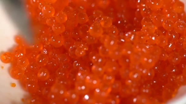 Röd kaviar sätts i en sked. slowmotion — Stockvideo