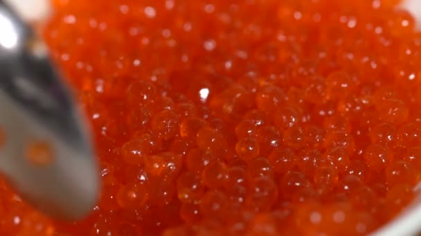 O caviar vermelho põe-se em uma colher. câmara lenta — Vídeo de Stock