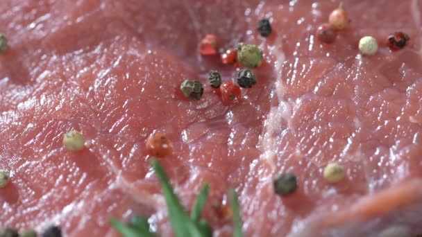 Carne fresca polvilhada com especiarias. câmara lenta — Vídeo de Stock