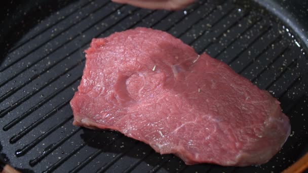 Posypeme maso se solí a kořením. Zpomalený pohyb — Stock video