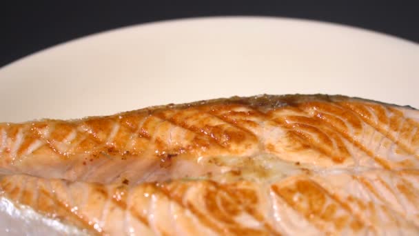 Decorate plate with salmon steak — Stock Video