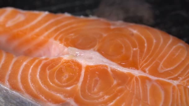 Stek z łososia smażony na patelni. Zwolnionym tempie — Wideo stockowe
