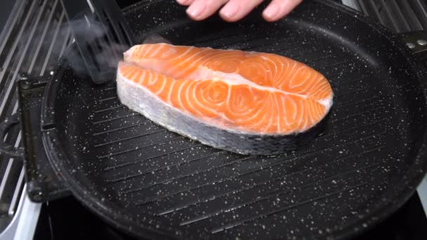 Salmon steak fried in a pan. Slow motion — Stock Video