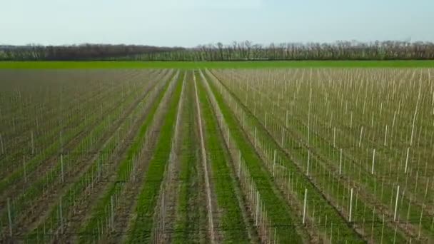 Survoler le verger. Aérien 