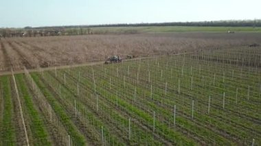 Meyve üzerinde uçan. Hava