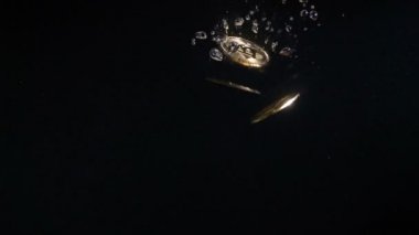 Bitcoin suya düşüyor. Ağır çekim