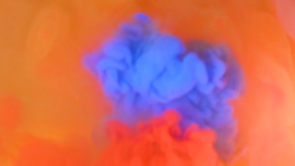 Πολύχρωμα χρώματα στο νερό. Αργή κίνηση — Αρχείο Βίντεο