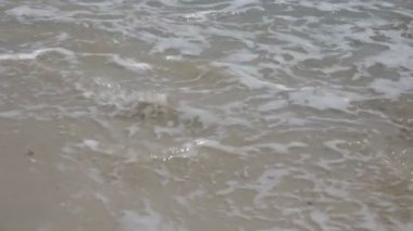 Denizden gelen adam. Ağır çekim