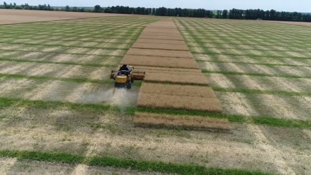 우크라이나, Dnipro-2018 년 7 월 4 일: 수확기 새로운 네덜란드 Cx 8.80 colza를 수집합니다. 공중 — 비디오
