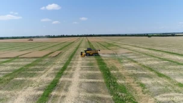 Ucrania, Dnipro - 4 de julio de 2018: Harvester New Holland CX 8.80 recolecta colza. Antena — Vídeos de Stock