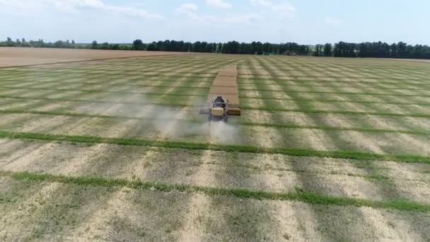 Oekraïne Dnipro Juli 2018 Harvester Nieuwe Holland Verzamelt Raapzaad Luchtfoto — Stockvideo