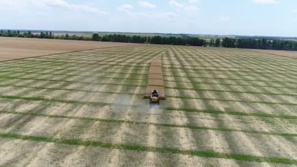 Oekraïne, Dnipro - juli 4, 2018: Harvester nieuwe Holland Cx 8,80 verzamelt raapzaad. Luchtfoto — Stockvideo