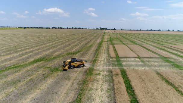 Ukraina, Dnipro - 4 lipca 2018: Kombajn New Holland Cx 8,80 zbiera rzepiku. Antenowe — Wideo stockowe