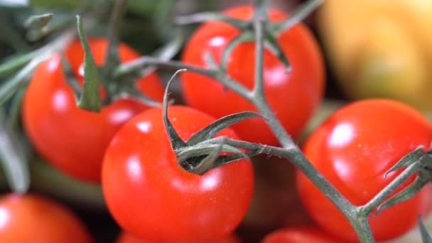 Citroen tomaten en kruiden — Stockvideo