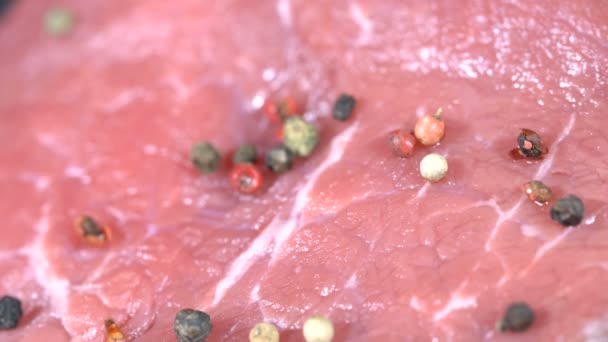 Pulp of fresh meat with spices — Stock Video