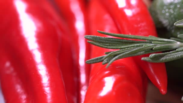 Röd peppar med rosmarin — Stockvideo