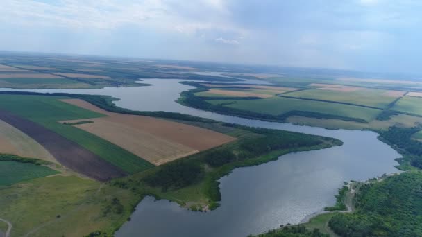 Latające nad polami i rzeki — Wideo stockowe