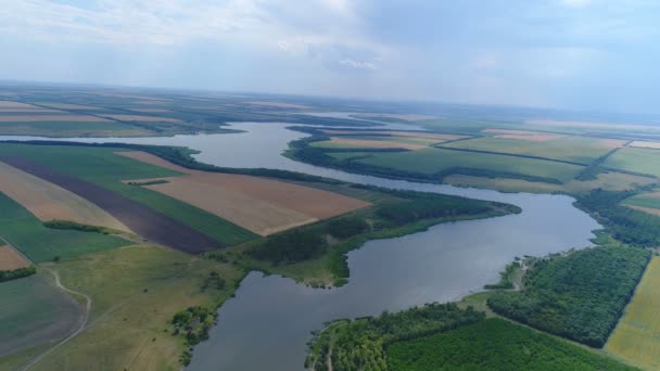 Latające nad polami i rzeki — Wideo stockowe