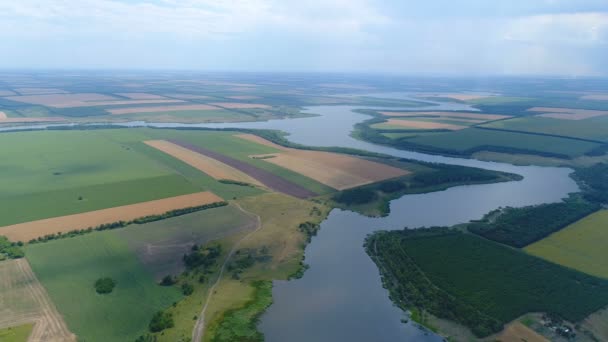 Latające nad polami i rzeki — Wideo stockowe