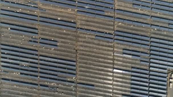 Výstavba solární elektrárny — Stock video