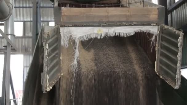 El coche descarga violación de grano — Vídeo de stock