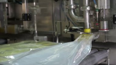 Konveyör döküm ayçiçek yağı üretimi için