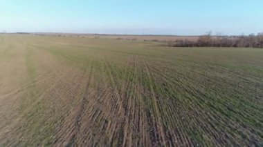 Traktör gübre yapar. Hava anket