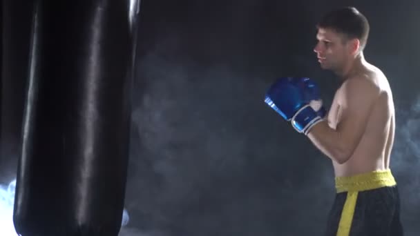 Trénink boxerů v tělocvičně — Stock video