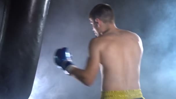 Тренировка боксеров в тренажерном зале — стоковое видео