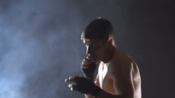 Boxer de formare în sala de gimnastică — Videoclip de stoc