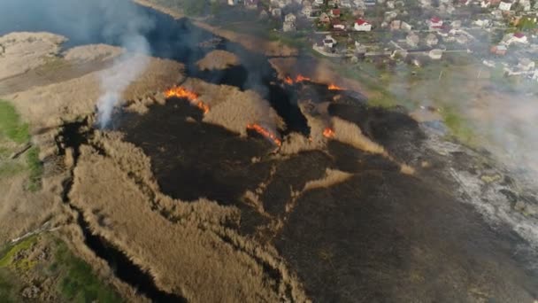 Cañas de fuego en el río. Encuesta aérea — Vídeo de stock