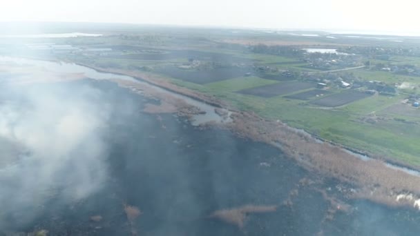 Vuur riet op de rivier. Lucht onderzoek — Stockvideo
