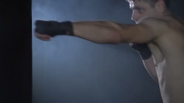 Тренировка боксеров в тренажерном зале — стоковое видео
