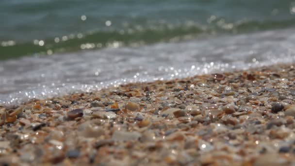 Vague de mer sur le bord de la mer. Mouvement lent — Video