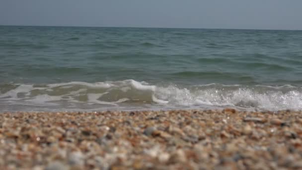 Zeegolf aan de kust. Langzame beweging — Stockvideo