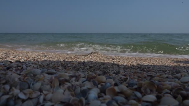 Deniz kıyısında deniz dalgası. Yavaş çekim — Stok video